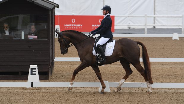 Tracey Lawson on QT at the winter dressage championships