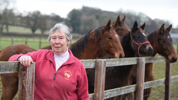 Jennie Loriston-Clarke, MBE, with some of the youngstock at Catherston Stud in Hampshire.