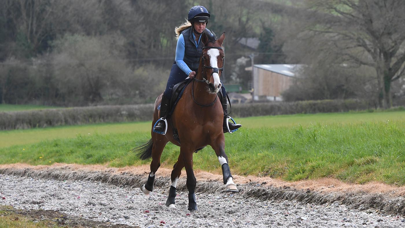 Kitty King on the gallops at her yard