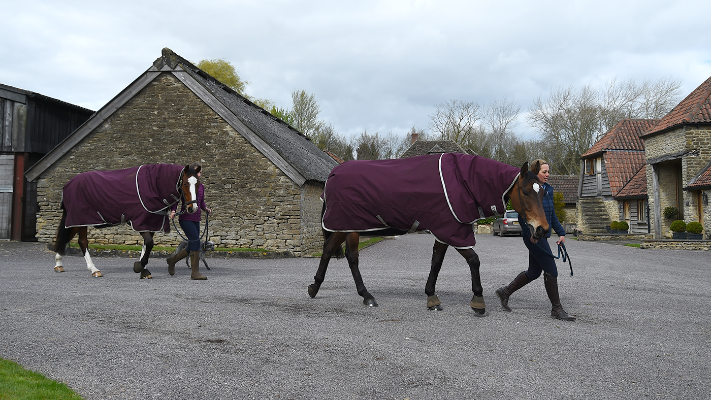 Kitty King yard: turning out two horses