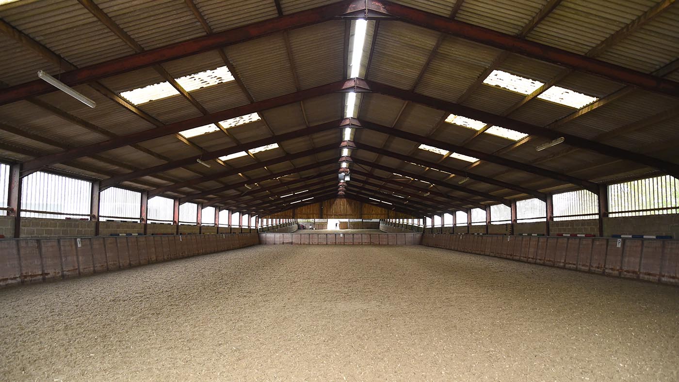 Kitty King yard: the indoor school