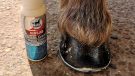 Leovet Hooflab Elastic Cream an hour post application