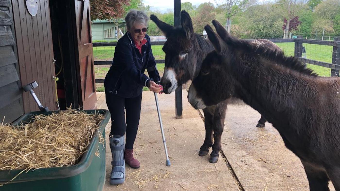 Rescue donkeys Martin and James with former guardian Carolyn