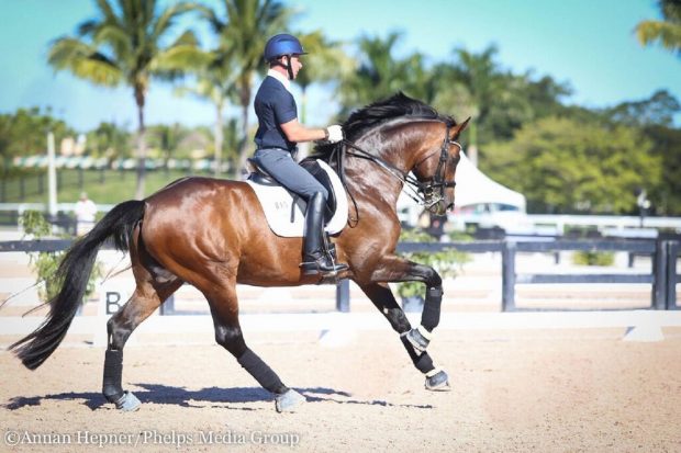 Realtor Matt Johnson riding Qasanova