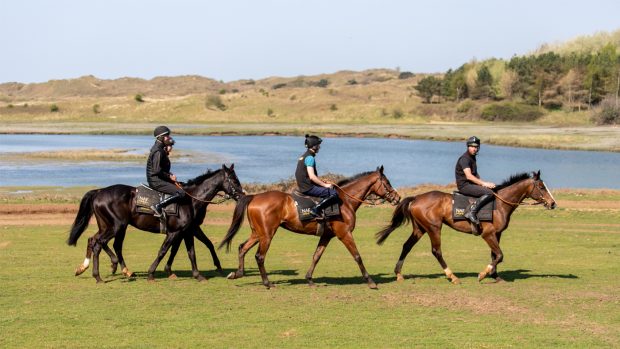 NAF-_-May-4-_-Hero-image