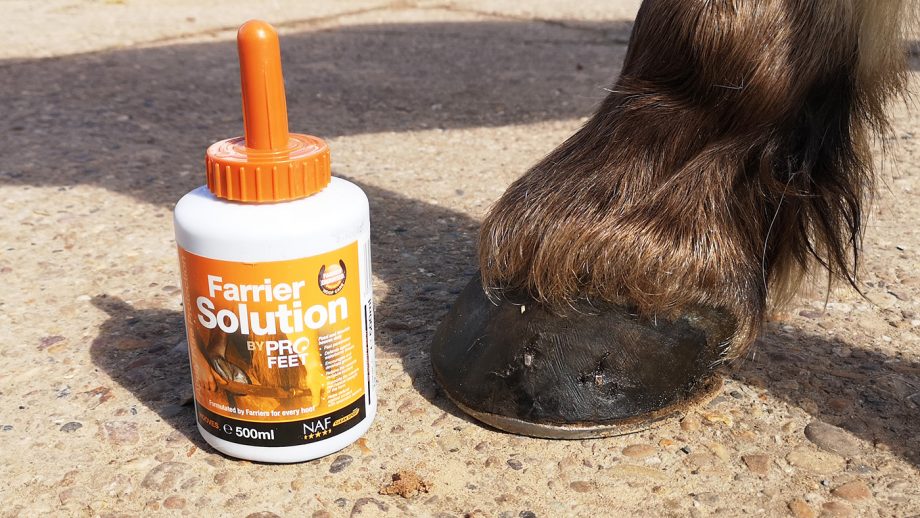 NAF Profeet Farrier Solution dried on hoof
