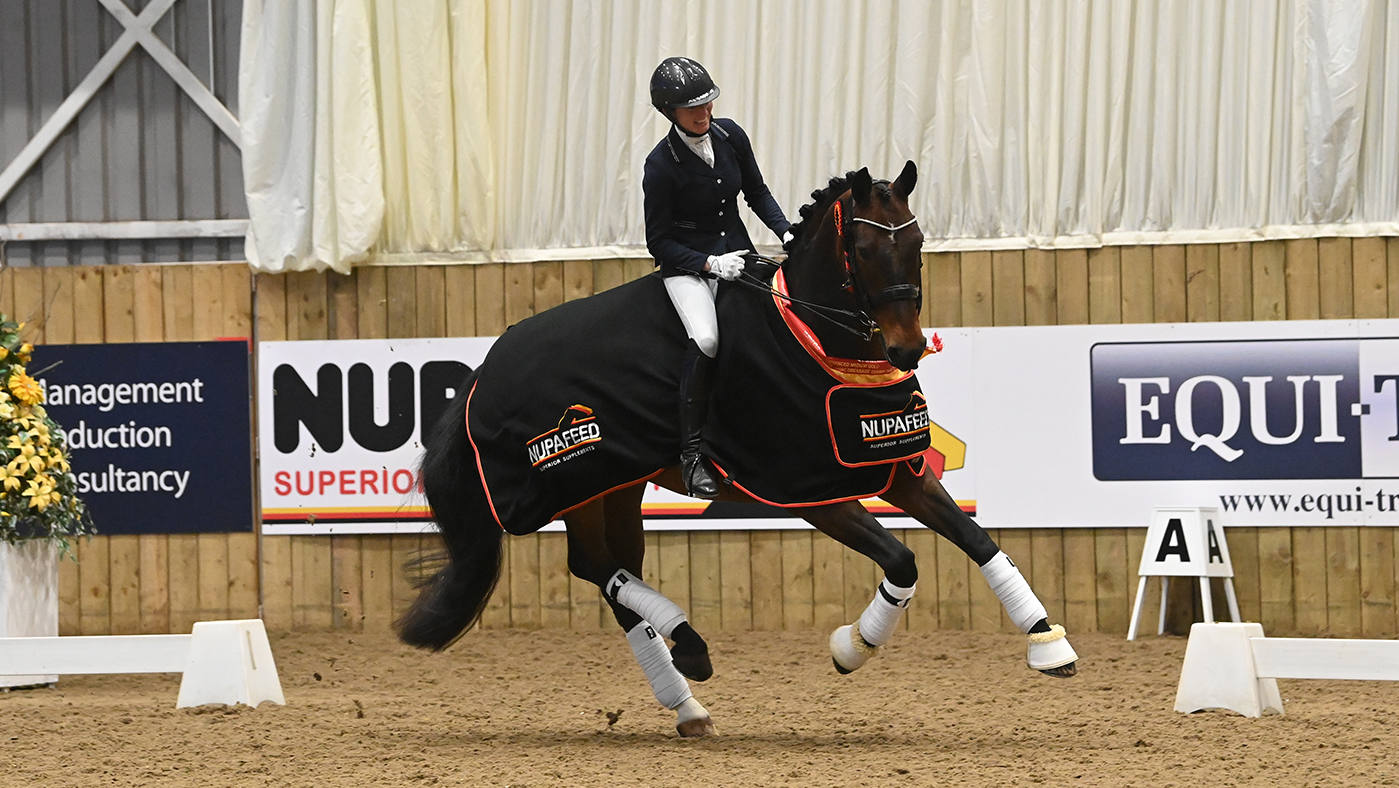 NIKKI BARKER - DAN ICARUS at the winter dressage championships 2022