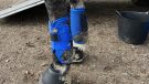 QHP Technical Eventing Boots front