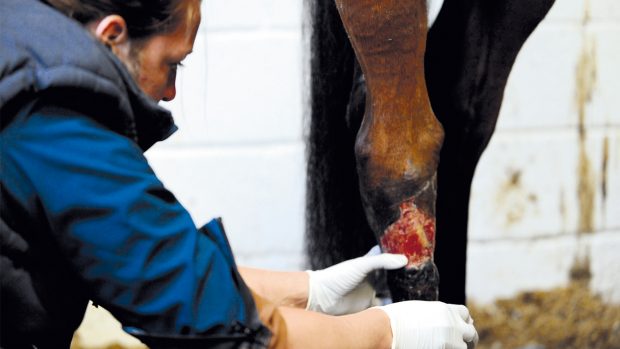 SEIB_Leg-Treating_1400x788_Hero