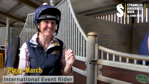 Top rider Piggy March is supporting the Strangles Awareness Week