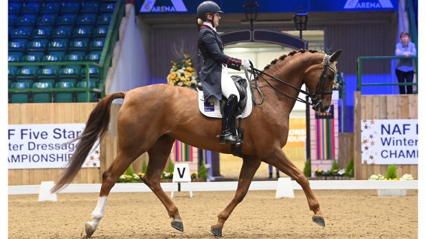 Winter Dressage Championships