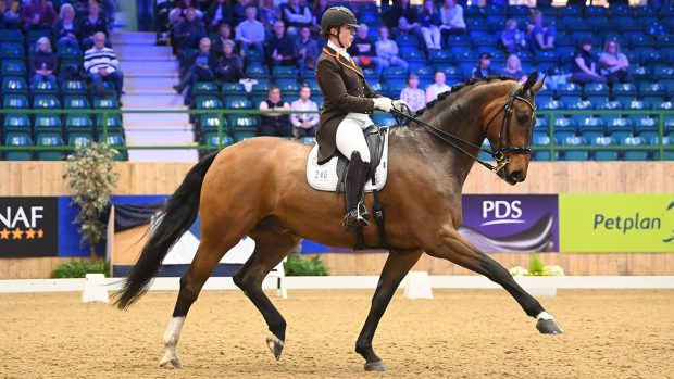 Winter Dressage Championhips