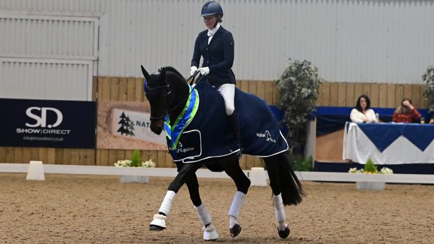 Area Festival Championships