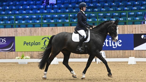Catherine Rose at the winter dressage championships