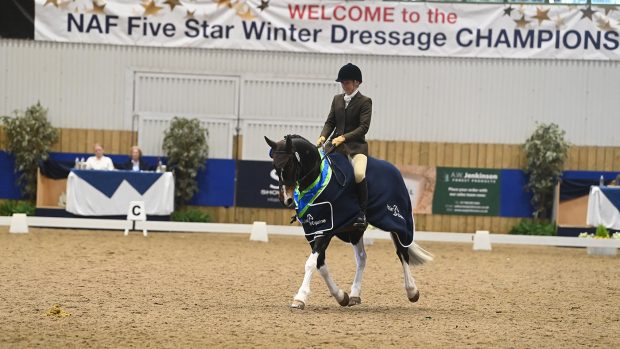 Jessica Nevin on Nicky Byrne at the Area Festival championships