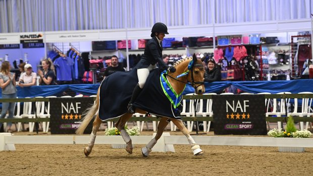 Area Festival Championships Sophie Taylor Vision Of Dreams