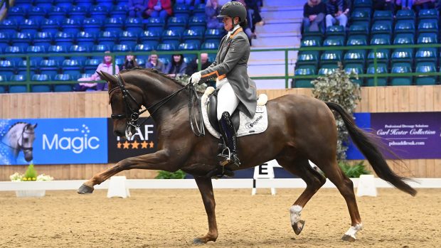 Winter Dressage Championships