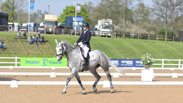 Alex Greatorex at the Winter Dressage Championships on Carrick Toomes Ambassador