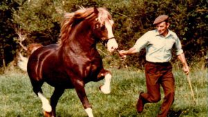 Geraint Owen pictured with Welsh pony Nebo Daniel