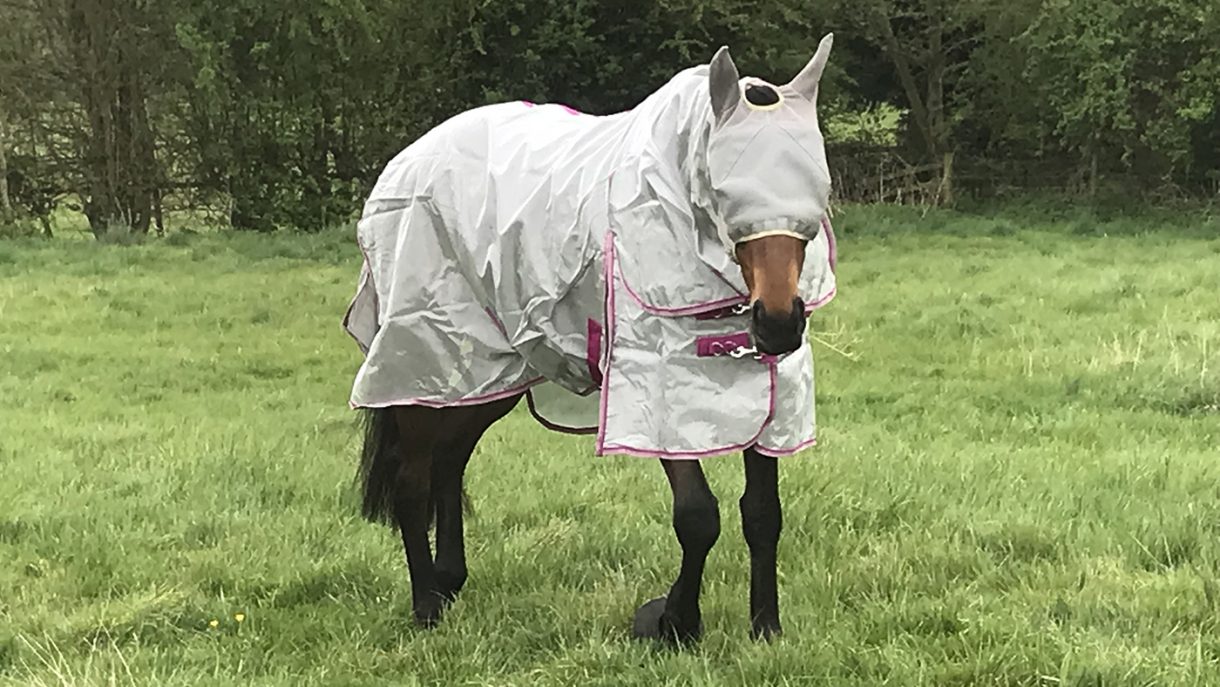Swish Equestrian nylon cool fly rug review Horse & Hound