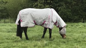 Swish Nylon Fly Cool Rug