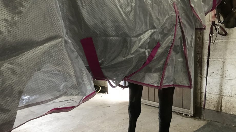 Swish Nylon Fly Cool Rug