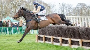 Race 4 Ladies Open, Winner, Matts Commission (Ire) ridden by L Teale