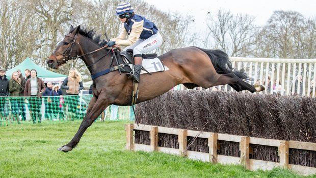 Race 4 Ladies Open, Winner, Matts Commission (Ire) ridden by L Teale