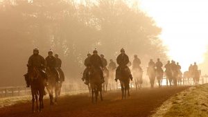 Retraining of racehorses strategy