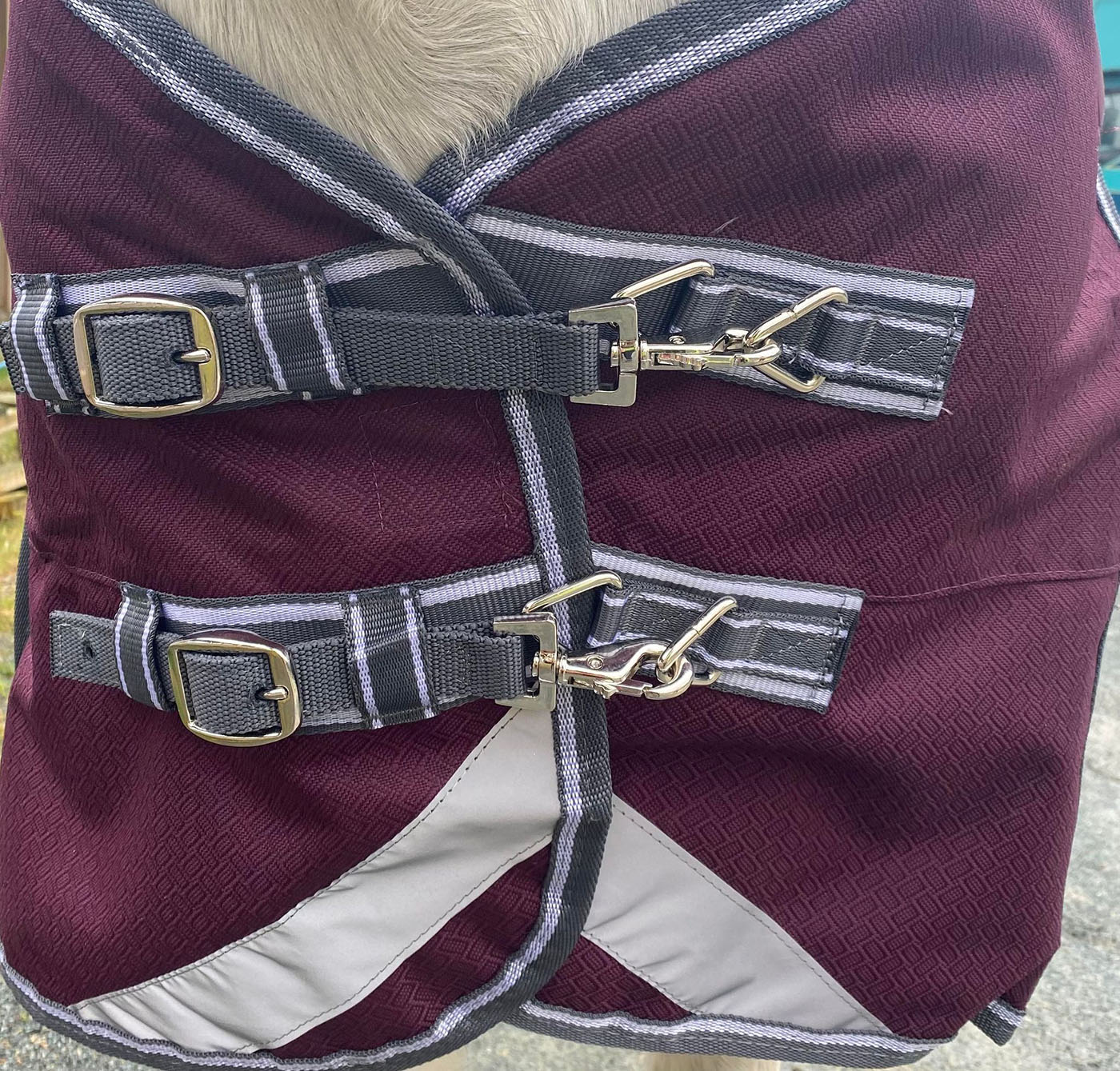 Weatherbeeta ComFiTec Plus Dynamic II Lite chest fastenings