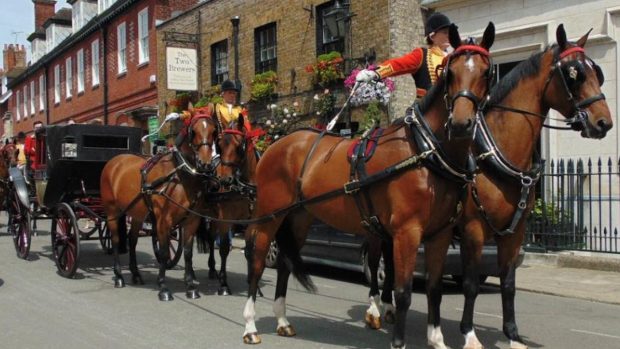 Maryland Horse Trust