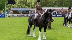 royal windsor senior ridden pony championship