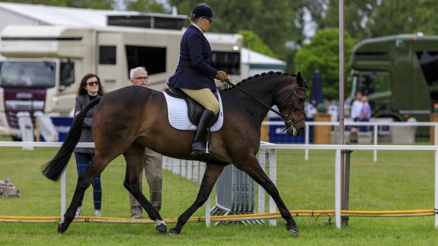 royal windsor horse show the queen