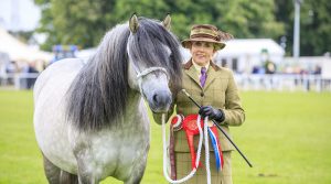 Royal Windsor Highland pony champion, The Queen’s Balmoral Leia