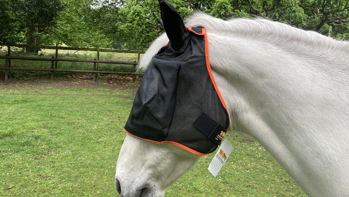 Best fly masks for horses in a range of designs Horse & Hound