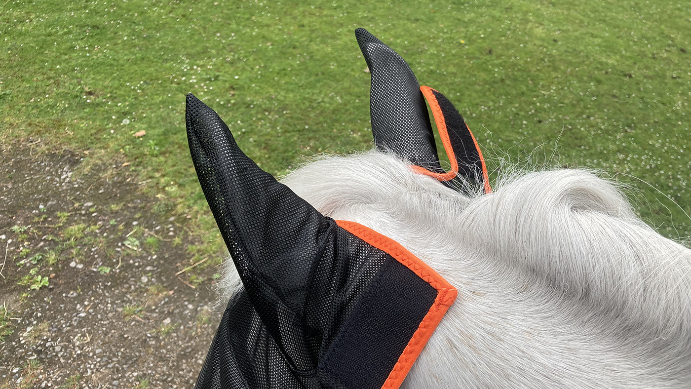 Equilibrium fly mask poll fastening