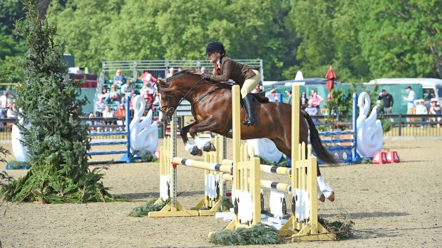Royal Windsor M&M working hunter pony champion.