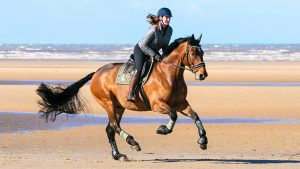 A confident, positive rider enjoying a canter along a beach