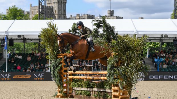 royal windsor working hunter championship