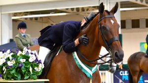 Barbers Shop heads the line-up of The Queen’s former racehorses, who will be parading at Epsom on Derby day
