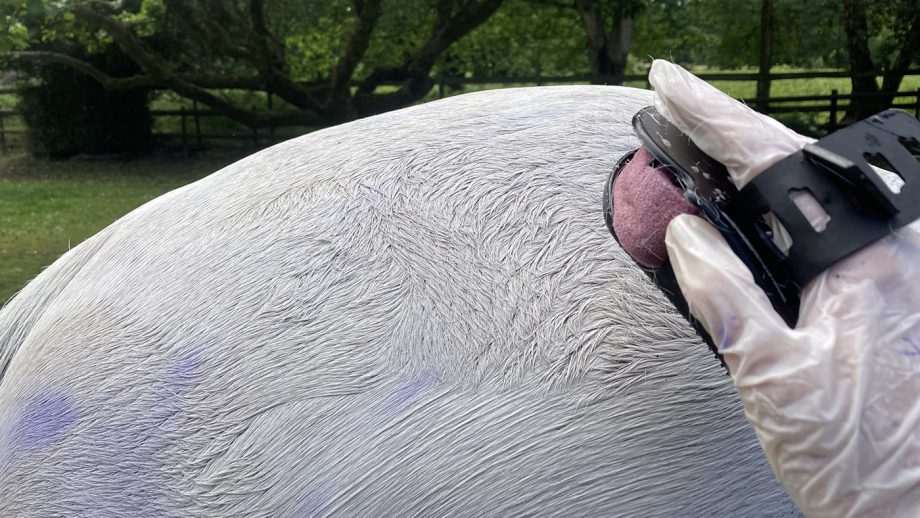 Working in the Blue Snow Shampoo