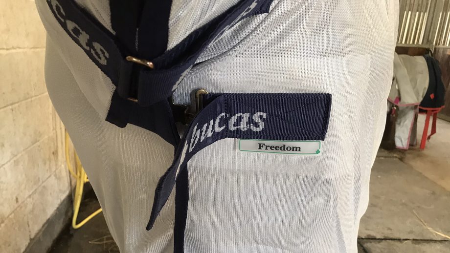 Bucas Freedom Fly rug front fastening