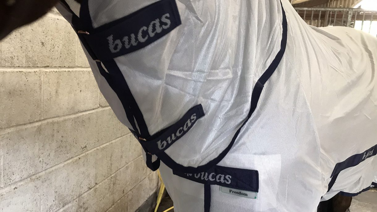 Bucas Freedom fly rug first look review Horse & Hound