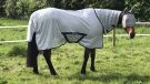 Bucas Freedom Fly rug