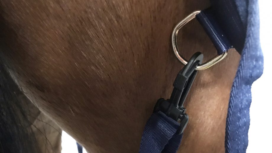 Bucas freedom fly rug rear leg straps