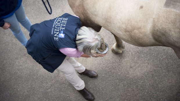 The House of Lords has discussed the ongoing vet shortage in the UK