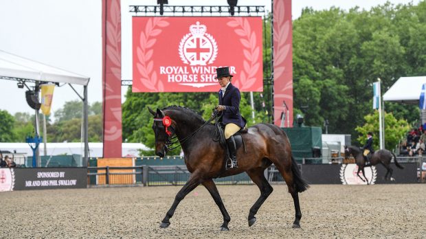 Royal Windsor riding horse championship