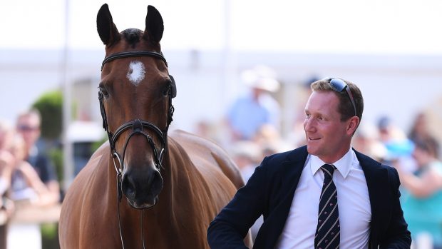 Cooley Master Class at the trot-up at the 2019 European Championships