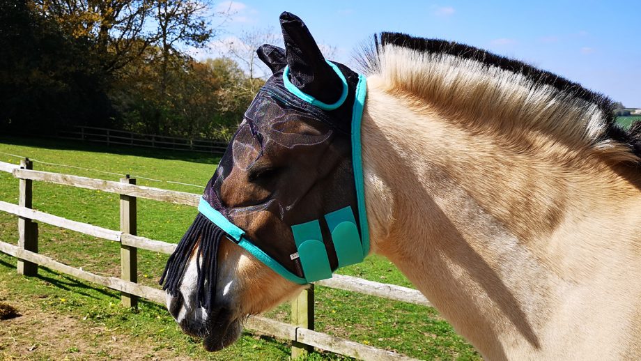 Hy Equestrian Mesh Half Mask from side
