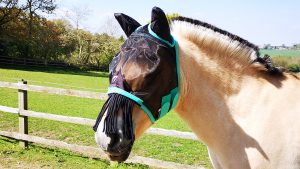 Hy Equestrian Mesh Half Mask from side